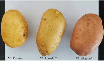 Effects of drip irrigation on yield, soil fertility and soil enzyme activity of different potato varieties in Northwest China